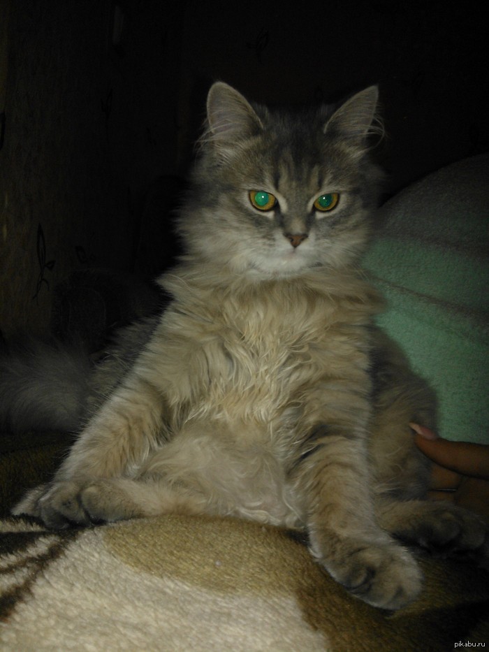 ���-��������