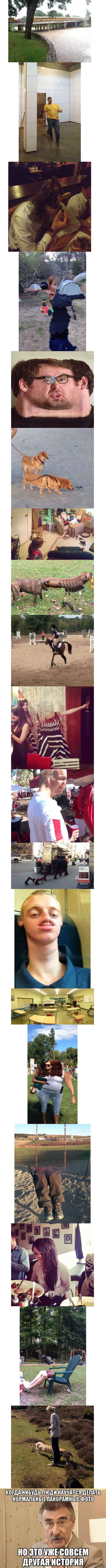 ���������� ���� - ������� �����������.