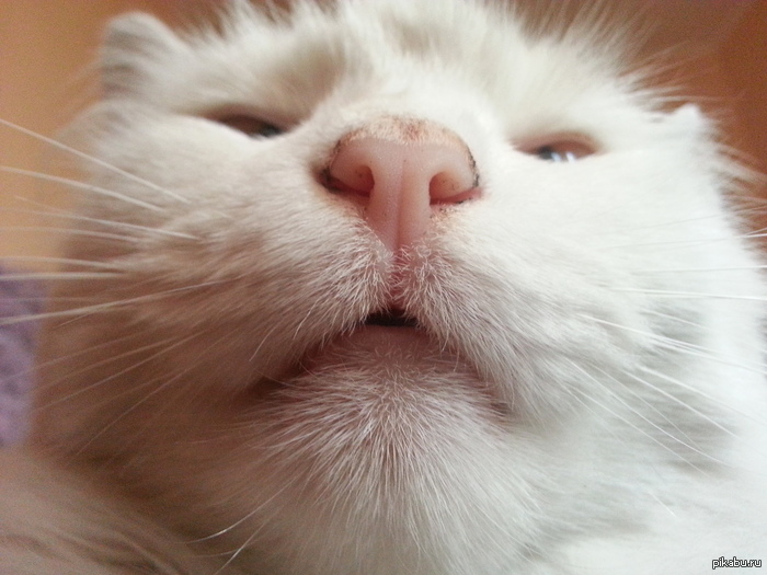 ������ ��� ����