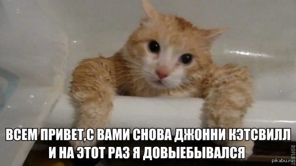 ����� ��������