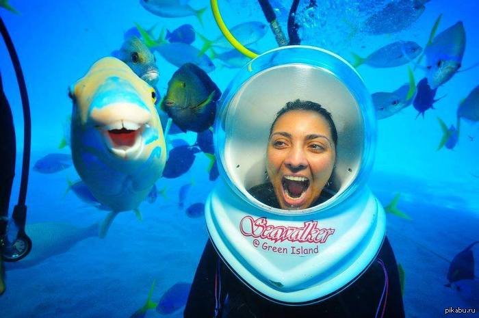 �����-�������)