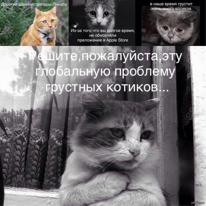 ������� ��������������!