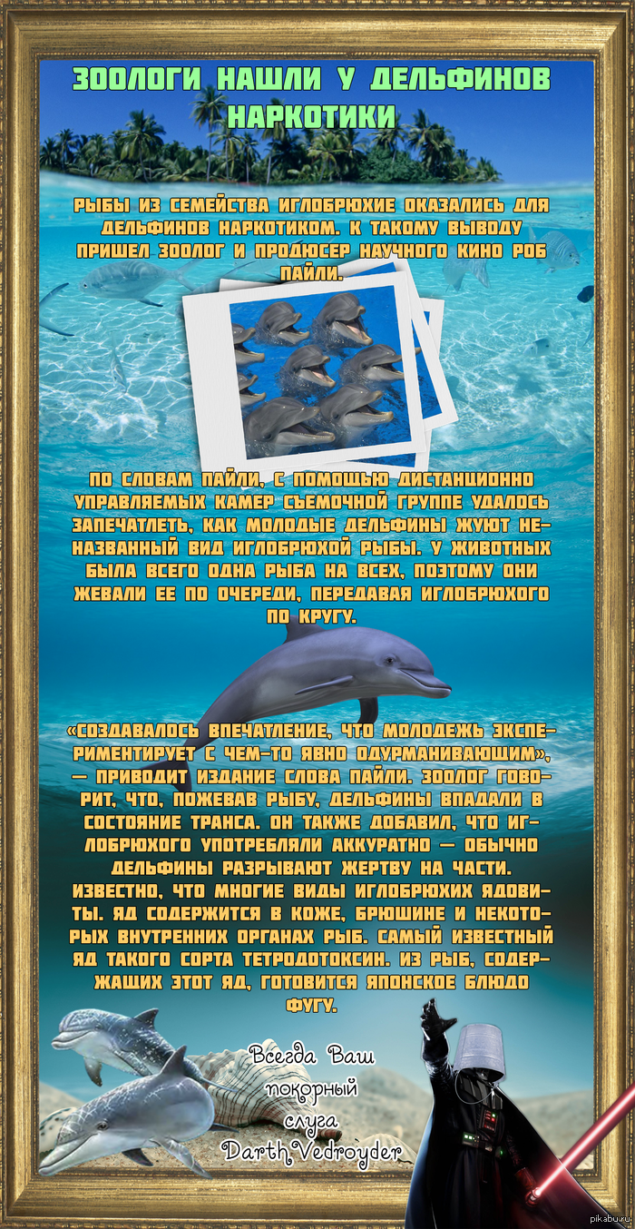������� ����� � ��������� ���������