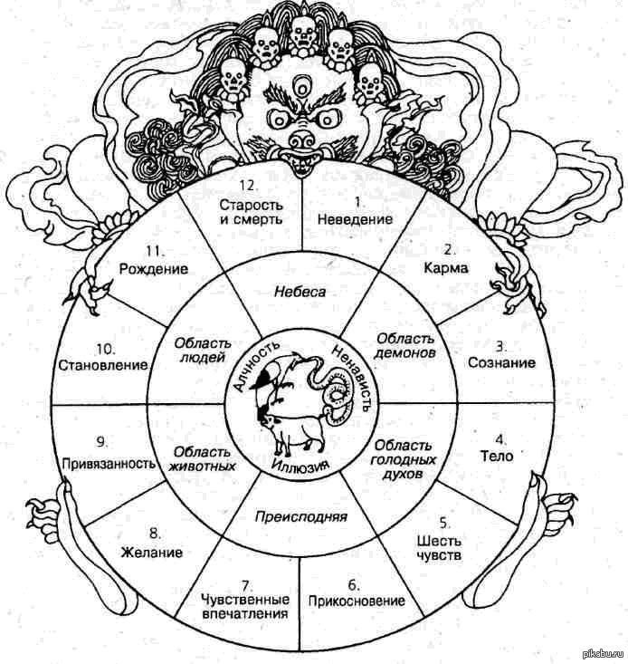 12 7 22 кармический. Бхавачакра колесо бытия. Колесо бытия в буддизме схема. Круг Сансары в буддизме схема.