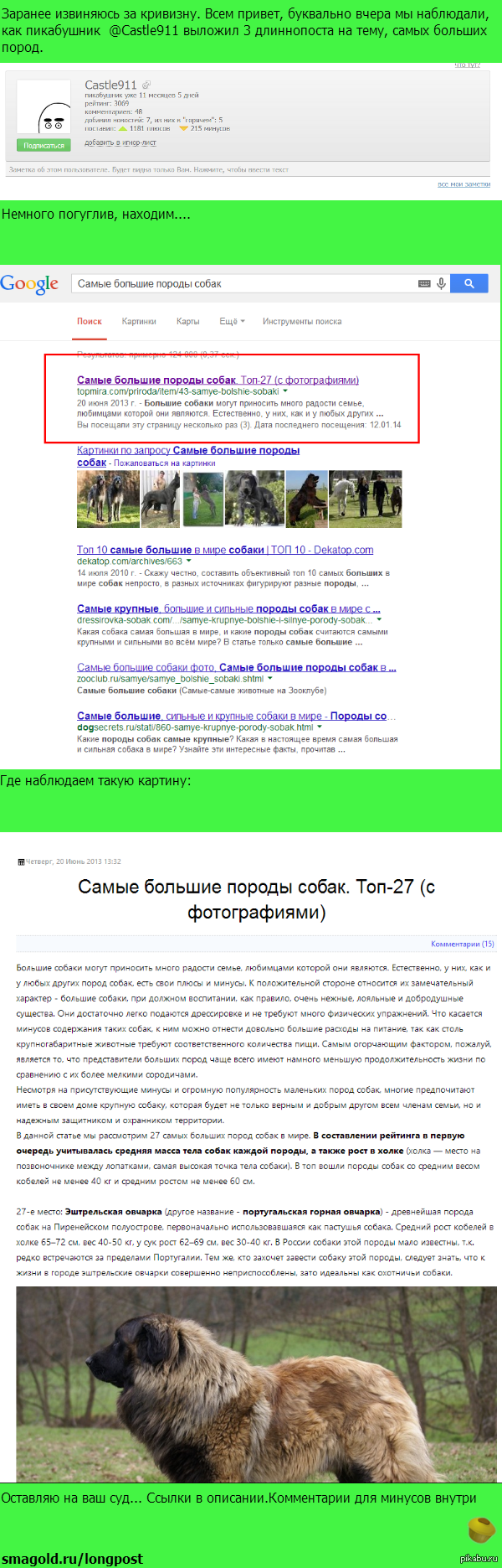 Самые большие породы собак часть 4 (разоблачение) | Пикабу
