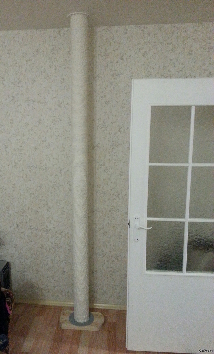 �������� ����