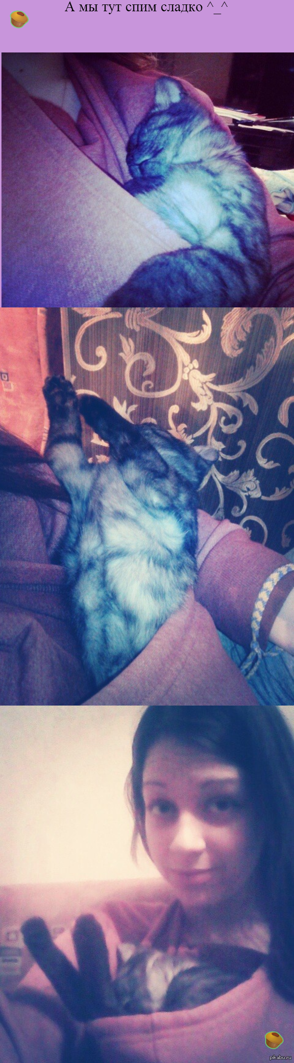 Здесь любят котиков) я знаю))