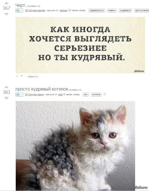      <a href="http://pikabu.ru/story/chert_1865373">http://pikabu.ru/story/_1865373</a>  <a href="http://pikabu.ru/story/prosto_kudryavyiy_kotenok_1866233">http://pikabu.ru/story/_1866233</a>