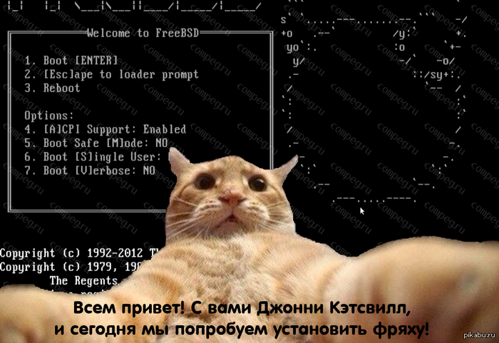    FreeBSD 