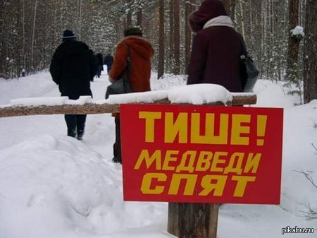 Не шумите в лесу....