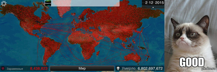 Grumpy cat playing in Plague Inc.