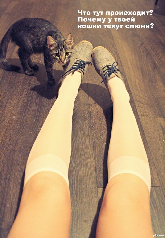 ������ �������� �����...