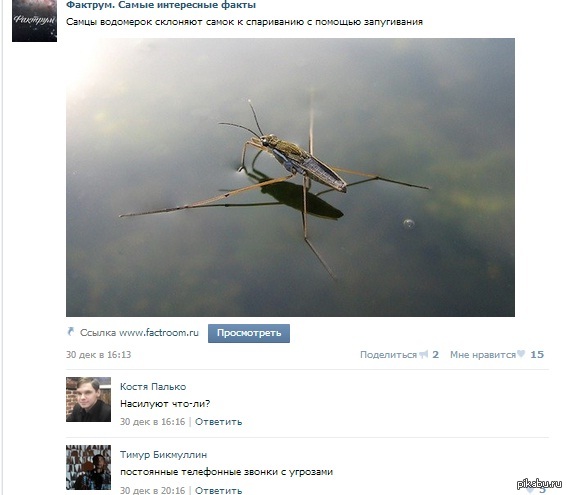 Звонит по ночам и дышит в трубку