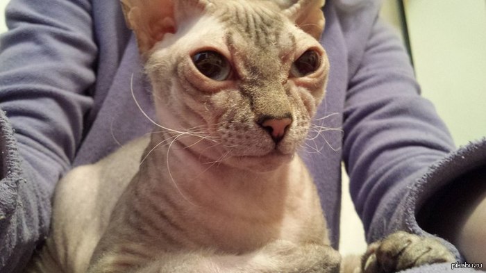 ��� ��������!