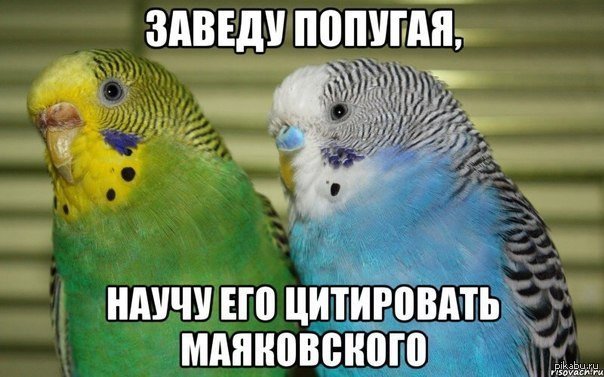 А ещё Есенина и Пучкова :)