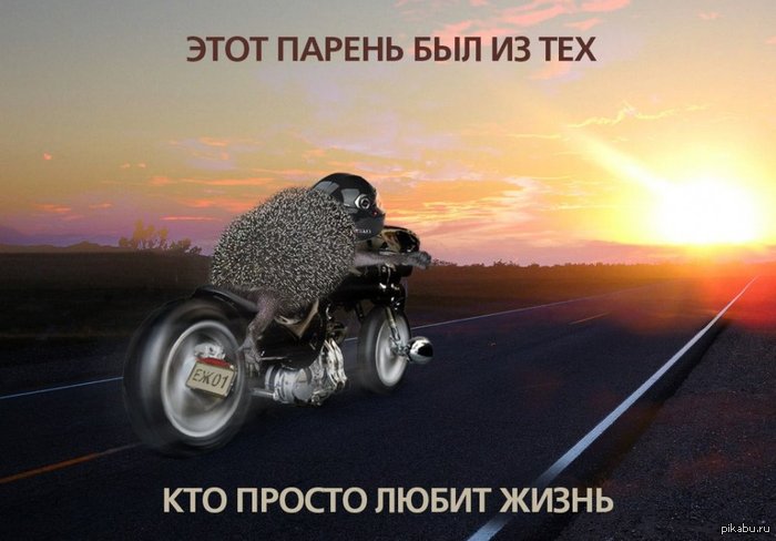 Этот парень с лапами