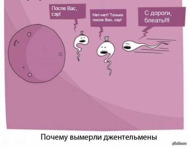 Так вот оно как... | Пикабу