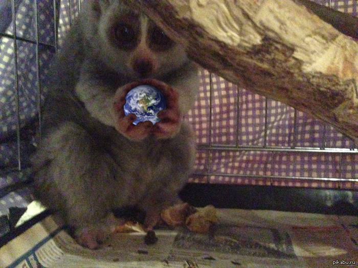 ����� �� ���� ����� �����, � �� ������ �����!