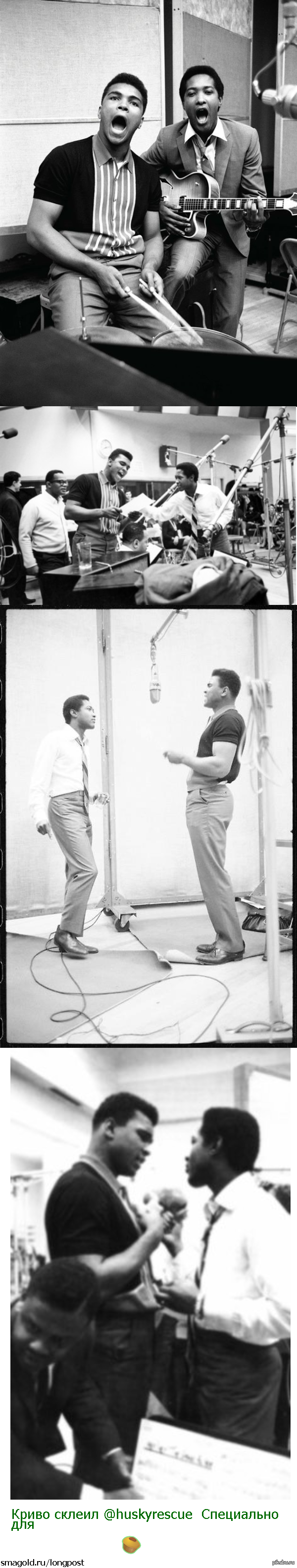 ����� ������� ����