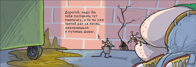 Здесь поставь. Вперед за приключениями карикатура. Приключения прикол. Жопка вперед за приключениями. Приключения на свою попу.