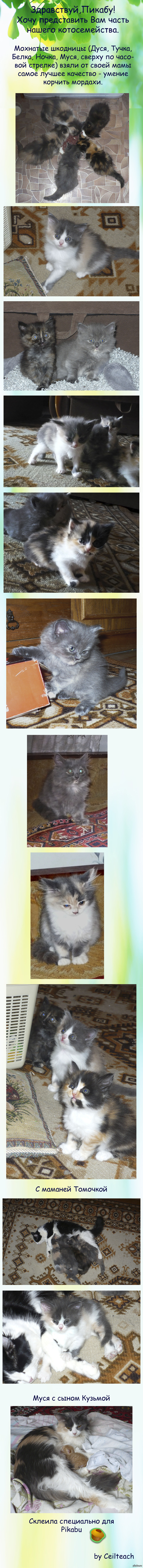 �������������