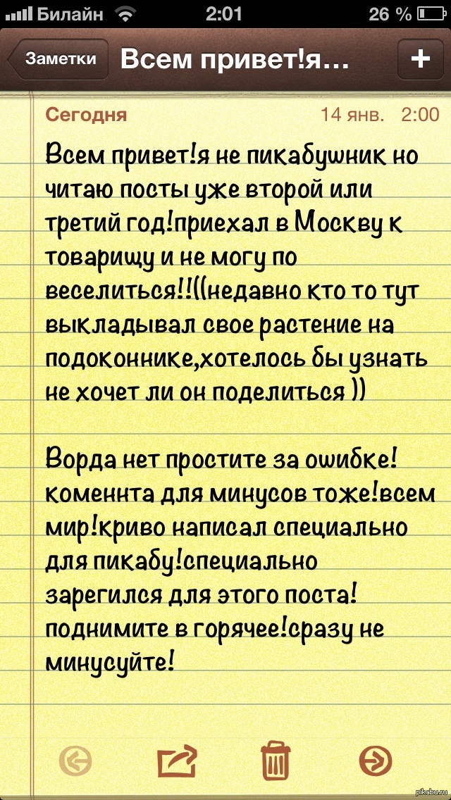 Pikabu я тупой