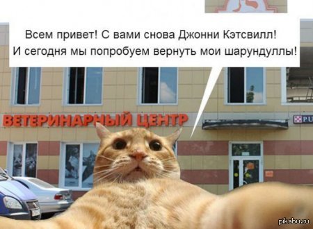 ������ ����.