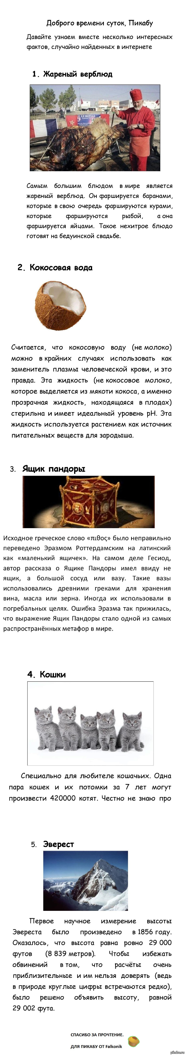 ������� �������������