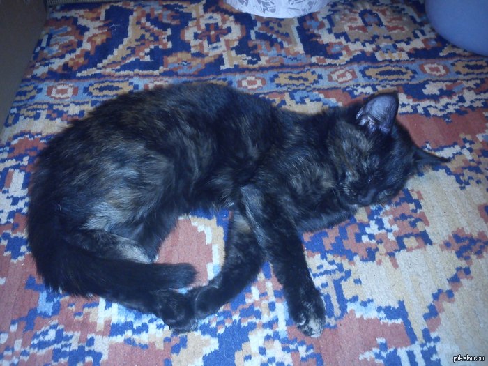 �����������,��� ����� �������� �������?