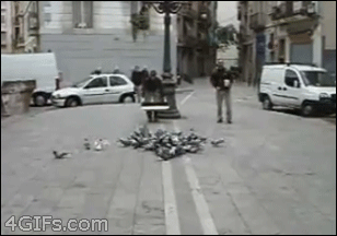 �������� ������ �� �����