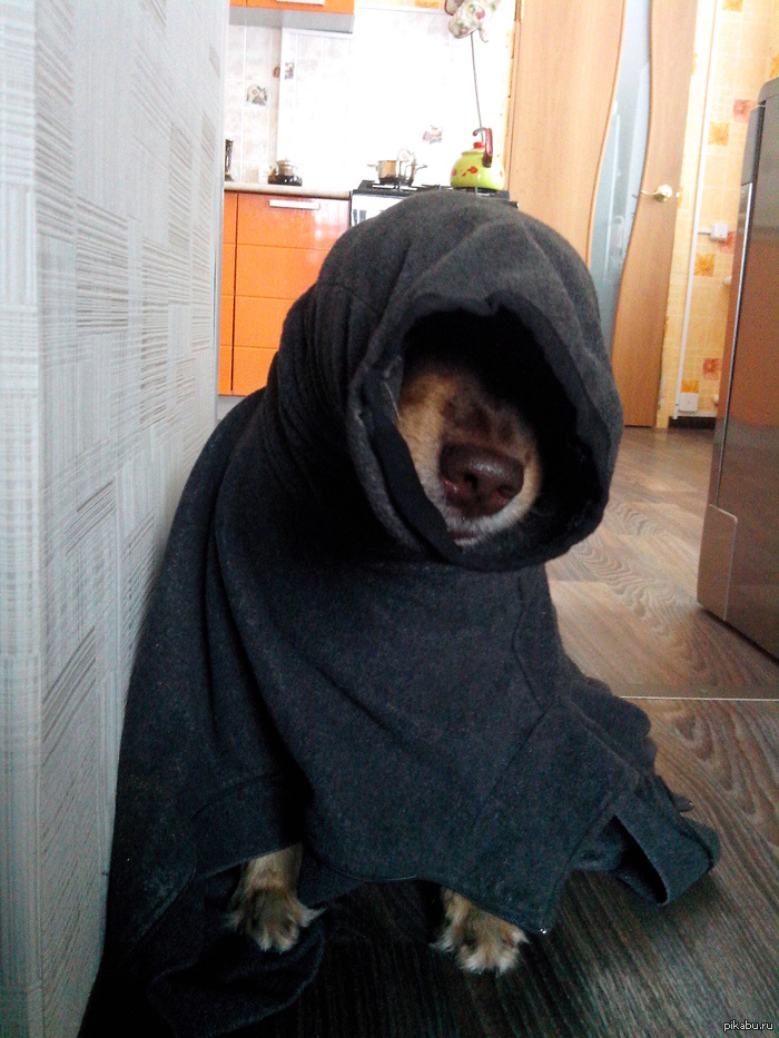 ������ ������� ����