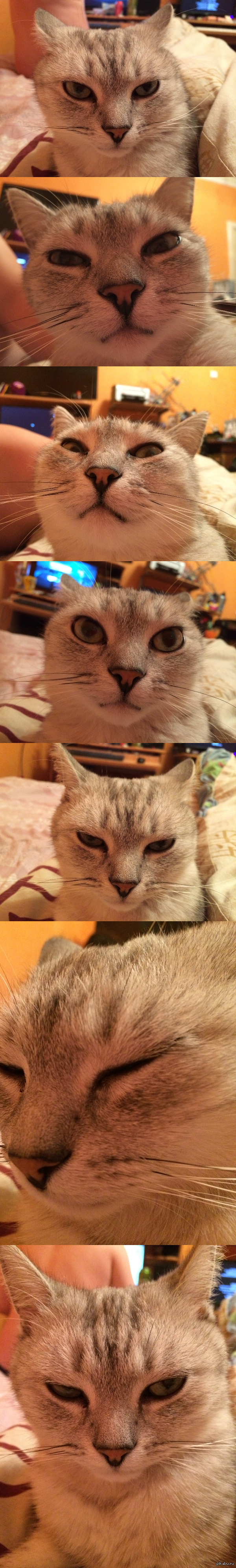 ������ ����� ����