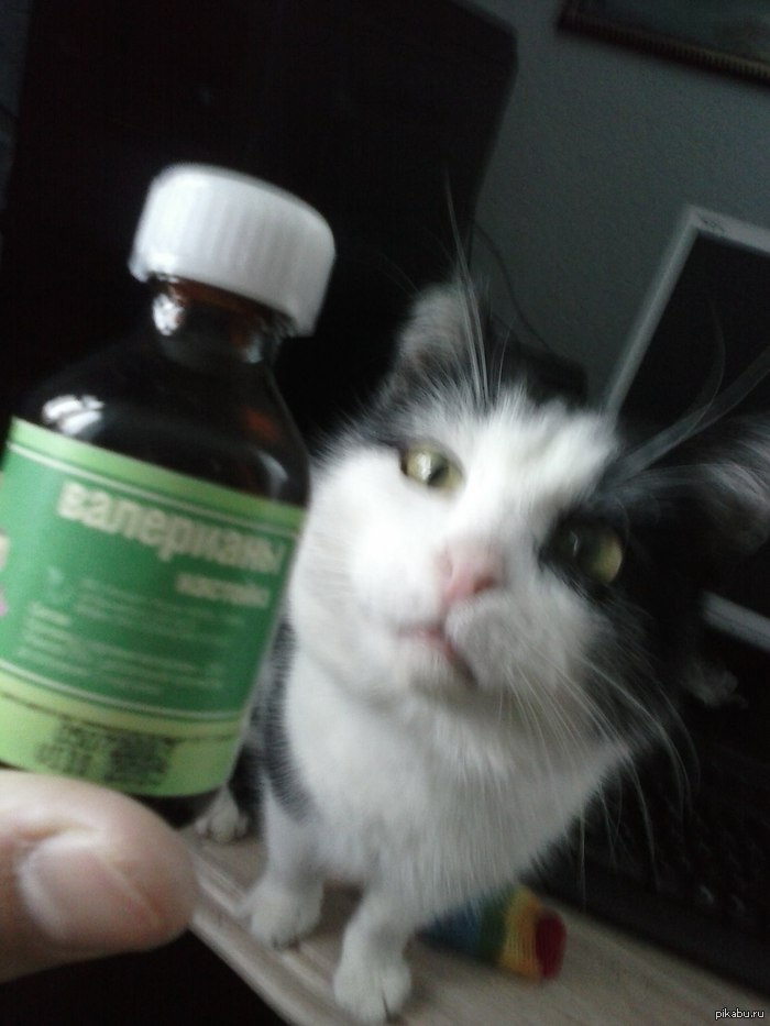 Валерьянка