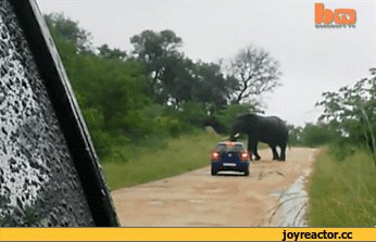 ������ ��������