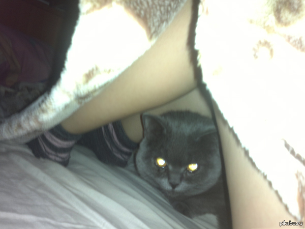 ��� ������� ����