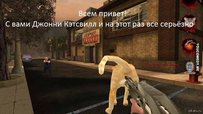 И снова Джонни Кэтсвилл