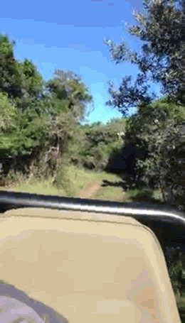 ��������� ��������������