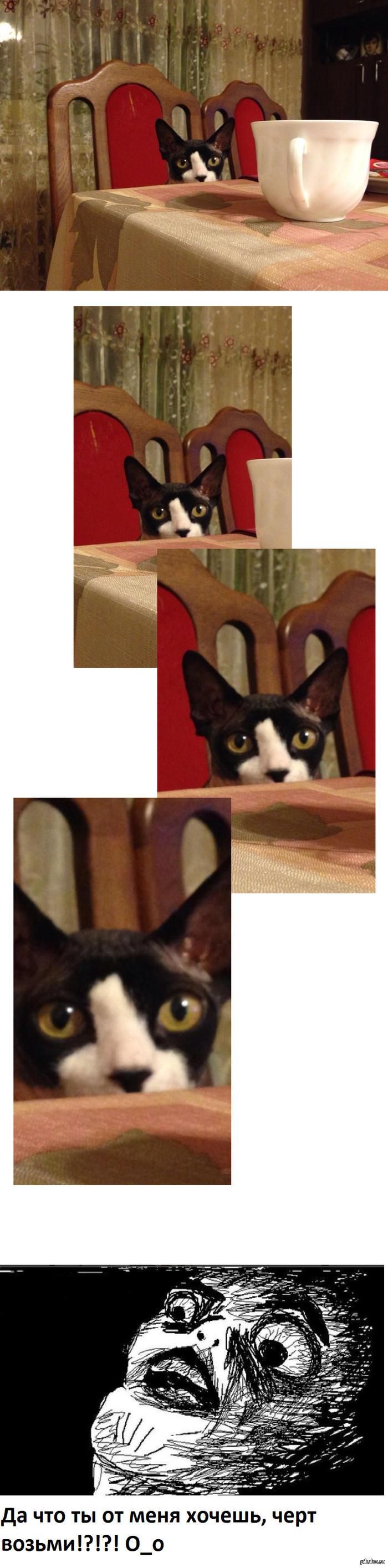 Новый год...