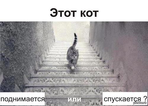Загадка | Пикабу
