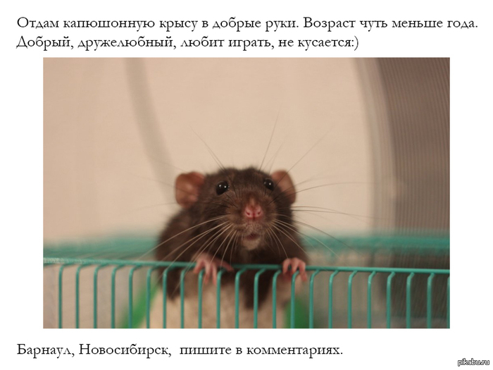 ����� ����� � ������ ����. �����������, �������