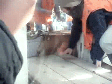 ААА, на пикабу новая шнягааа!