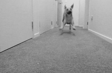 S3x Gif