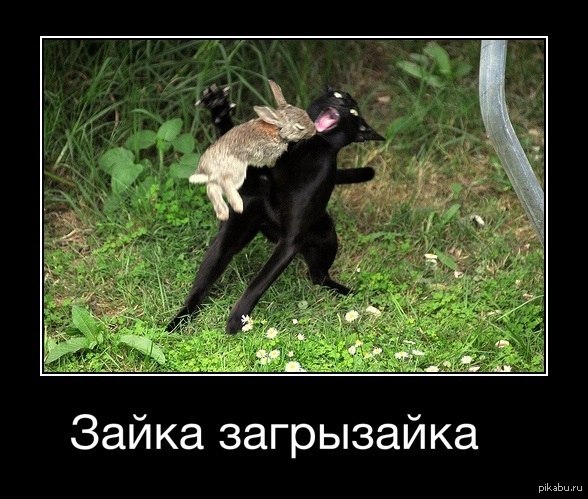 �� - �� ��,����� �������!