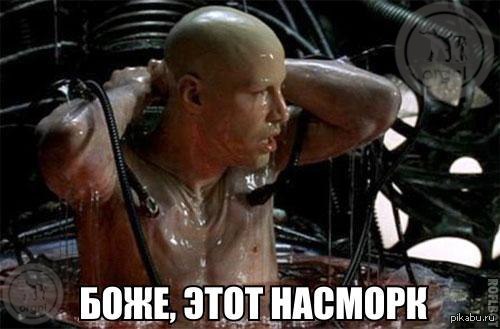 Я один простыл? :(