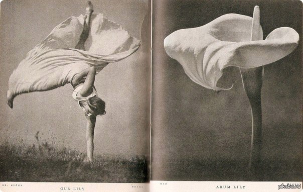 ������� 10 �������.