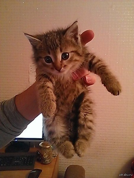 Ну и что с ним делать?