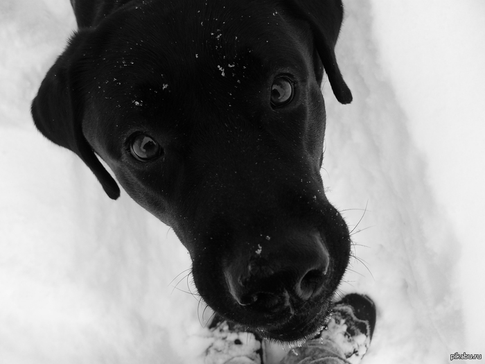 ���� ������^^