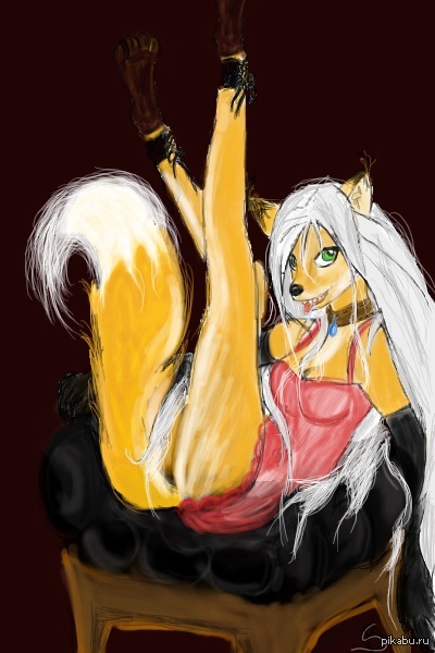 ��� ����� ������ �������