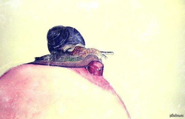 Snail - NSFW, Snail, Breast, Strawberry, Drawing