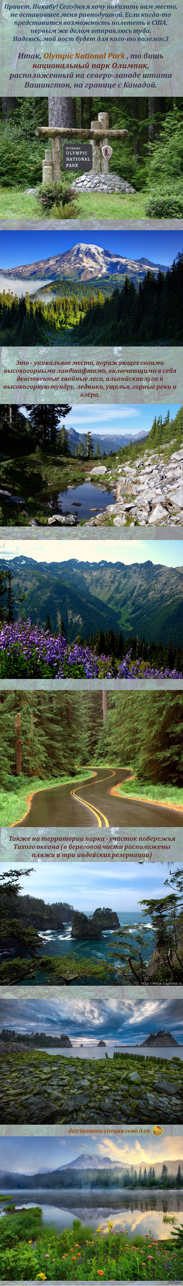 ������������ ���� �������